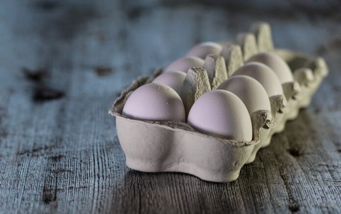Coma ovos regularmente para perder peso e manter a saúde