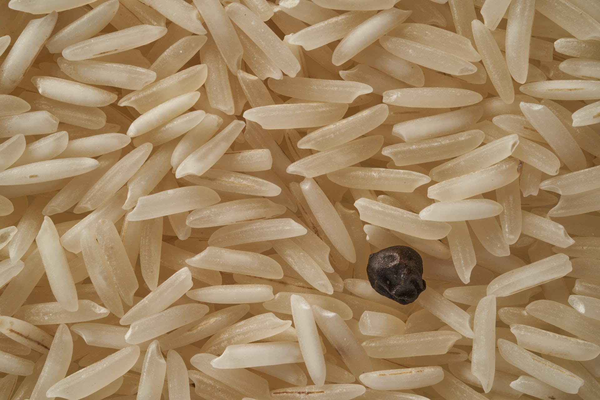 Cozinhar arroz e guardar para outro dia pode causar intoxicação alimentar