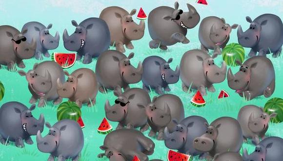 Você tem apenas 4 segundos para localizar o hipopótamo entre os rinocerontes